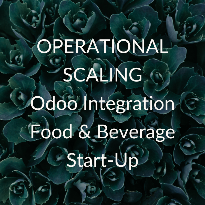 Portfolio Thumbnails - Odoo.png