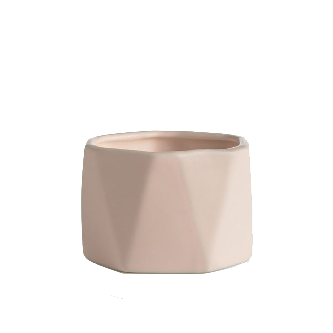 23. ALTERNATIVE Coconut Milk Mango Ceramic Candle