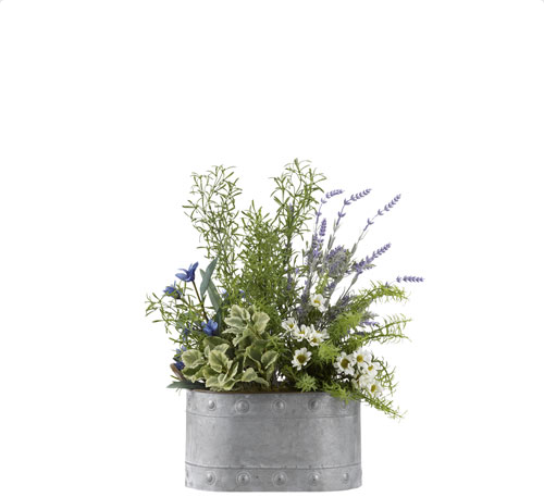 40. Lavender, Wild Asparagus, Mint and Rosemary in Oval Metal Planter