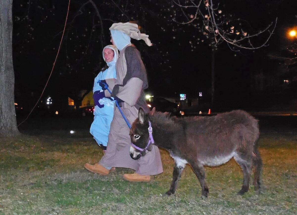 Photo by David Shahin