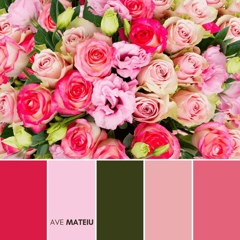 valentine-color-palette-6 (1).png