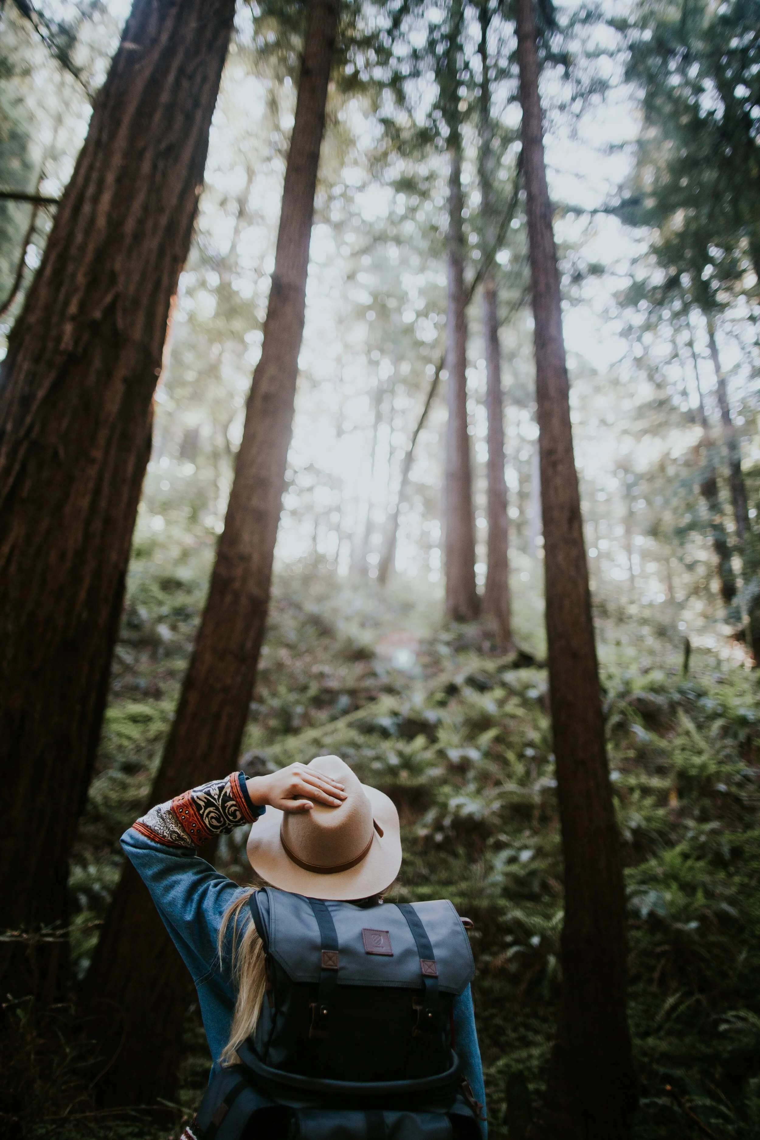 girl on journey in forest.jpg