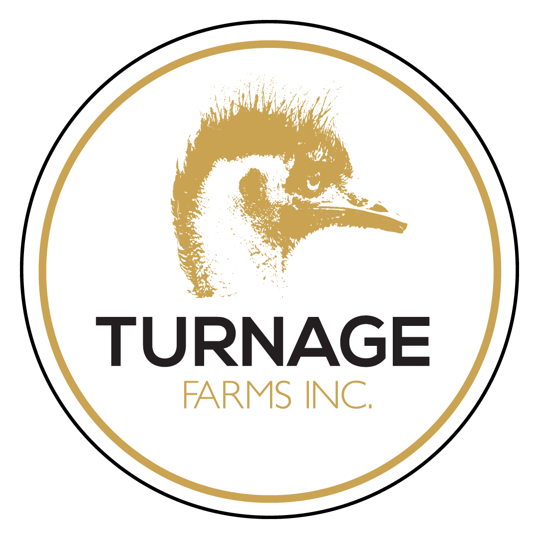 TURNAGE FARMS INC