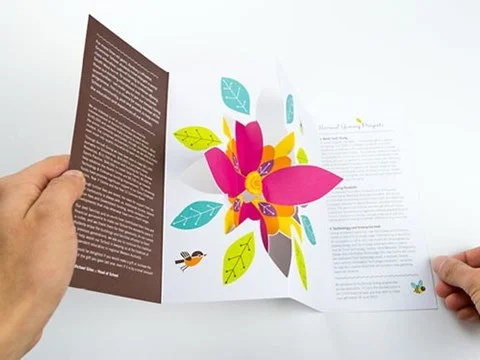 flower-brochure.jpg