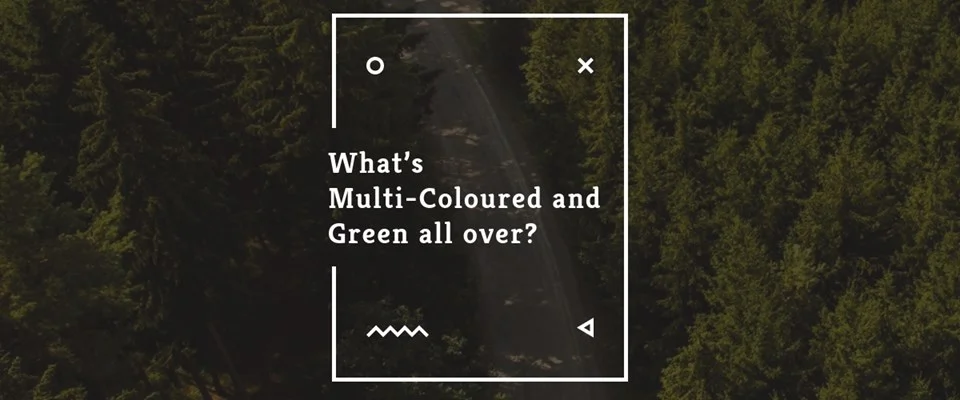 What’s Multi-Coloured and Green All Over?