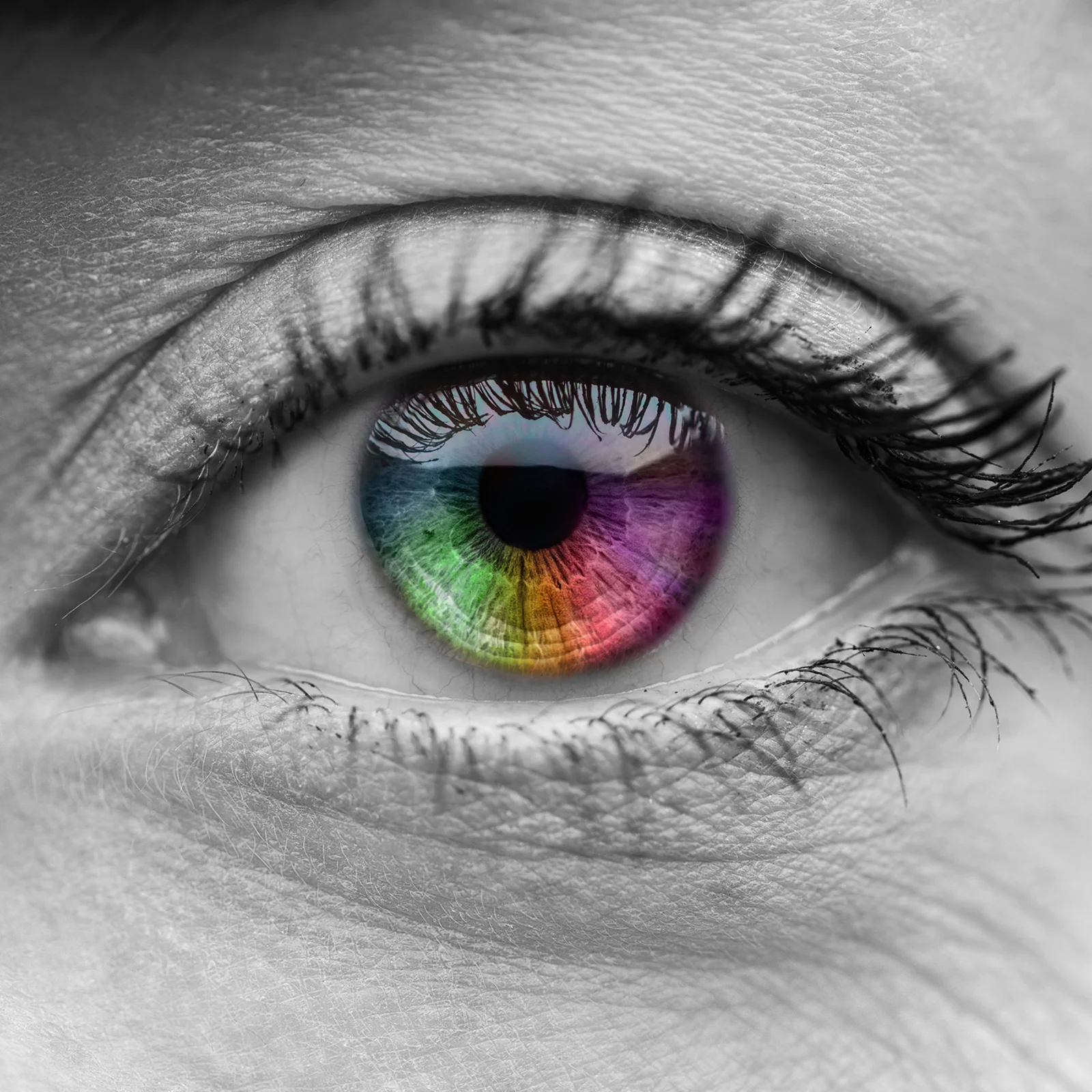 Colour Printing
