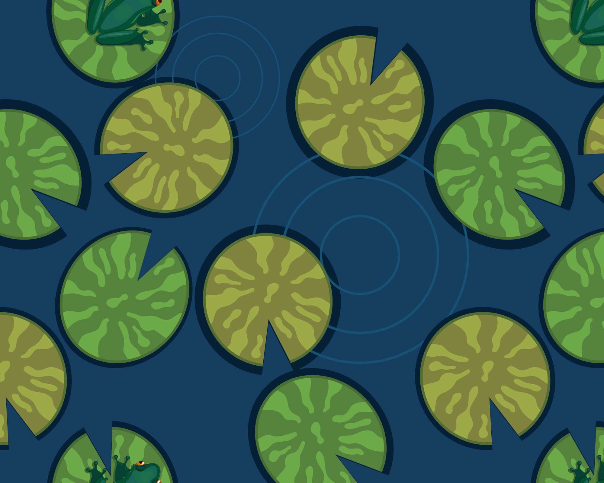 Banner3.jpg