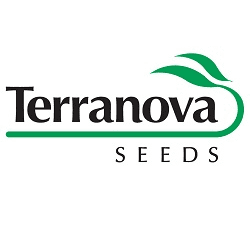 Terranova Seeds logo.png