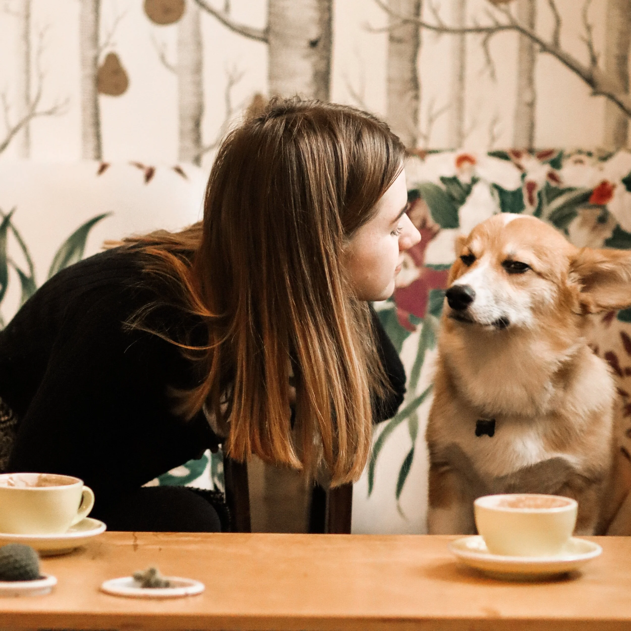 WHERE TO EAT WITH YOUR PUPS