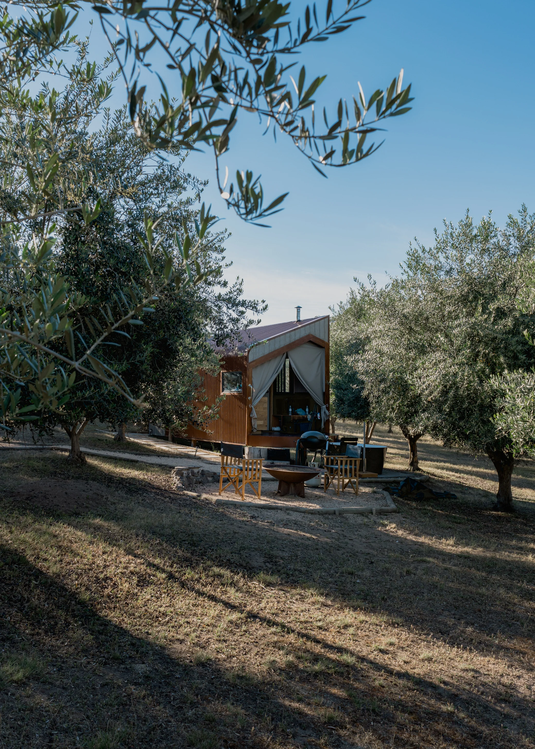 Olive Grove-3.jpg