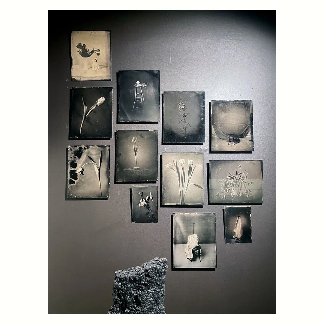 New Kid in Town!

Olen valokuvillani mukana uudessa showroomissa / luovassa tilassa / myym&auml;l&auml;ss&auml; @houseofcontessa 

Muita artisteja @jimbergstroem , @sannarintalaulaja , @matti_palmu , @visanorros 

Kaikki tilan kalusteet, valaisimet, 