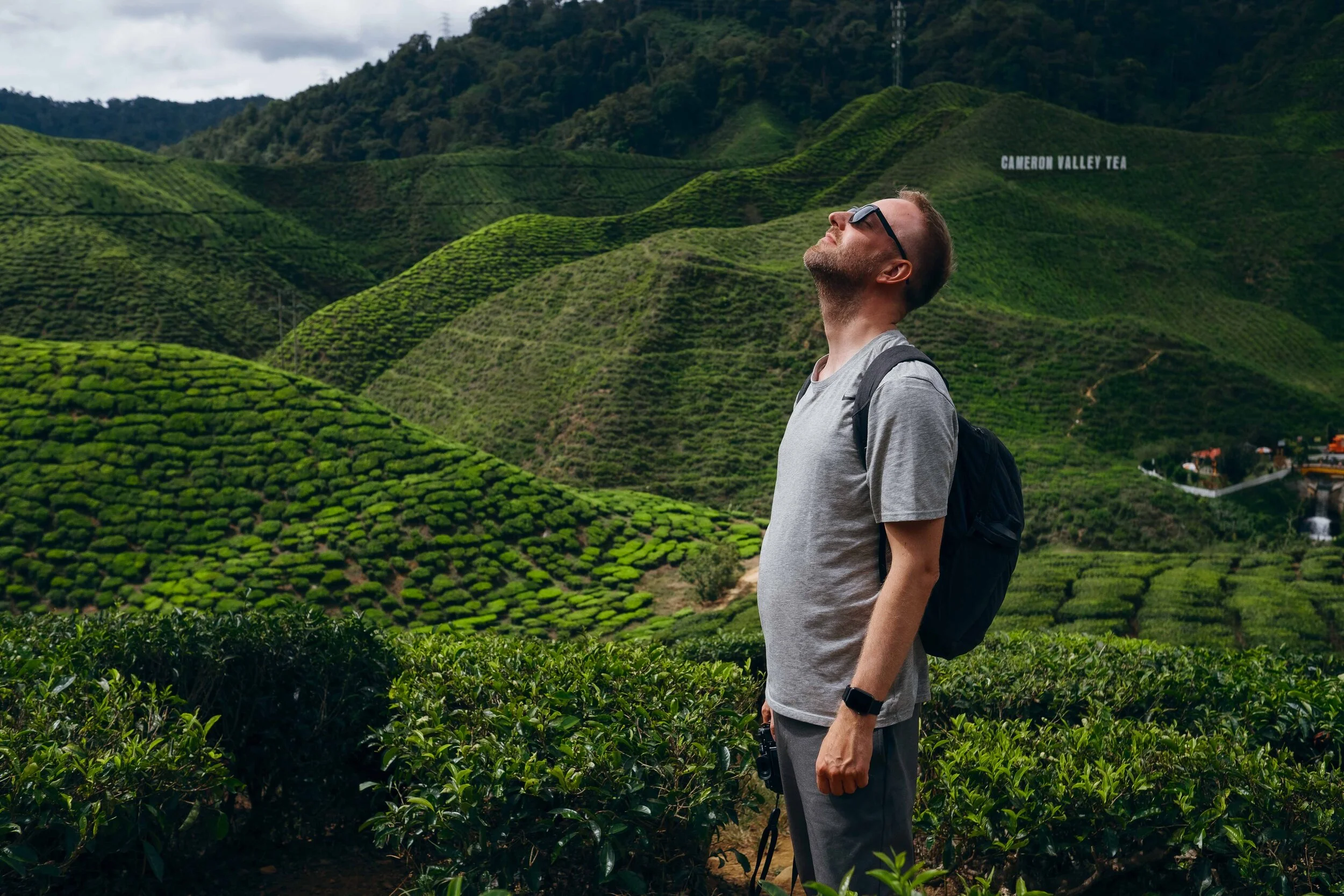 #16 Cameron Highlands