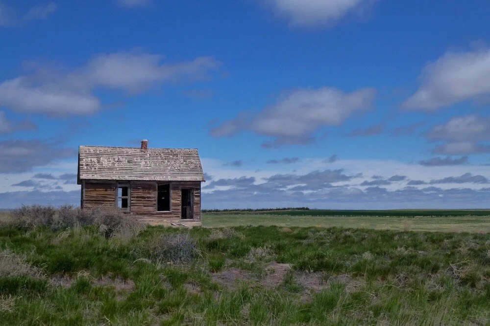 Fame and Celebrity Culture