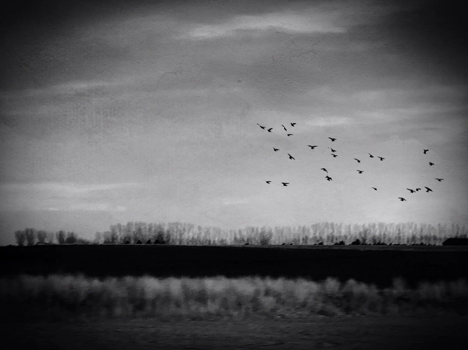 Cultivating Self Love