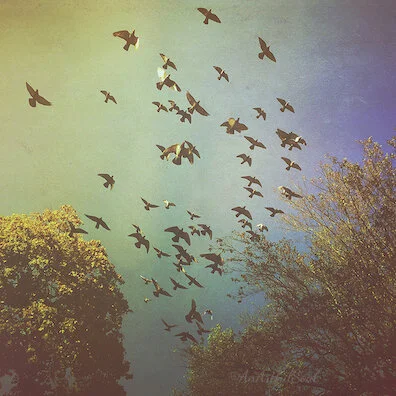 Elemental Movement_3 x 3_HighRes_withLogo.jpg