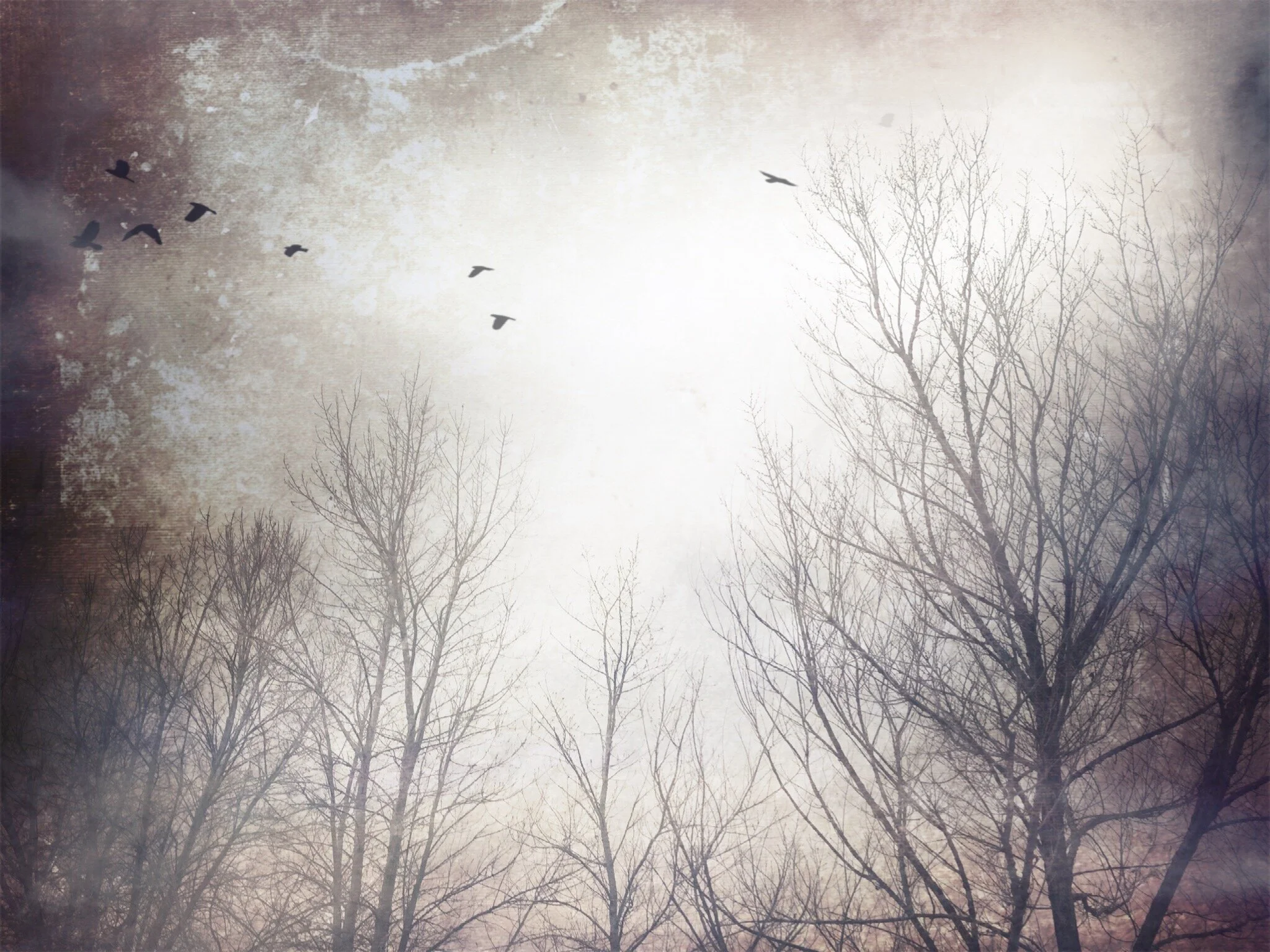 Finding Empathy and Passion 