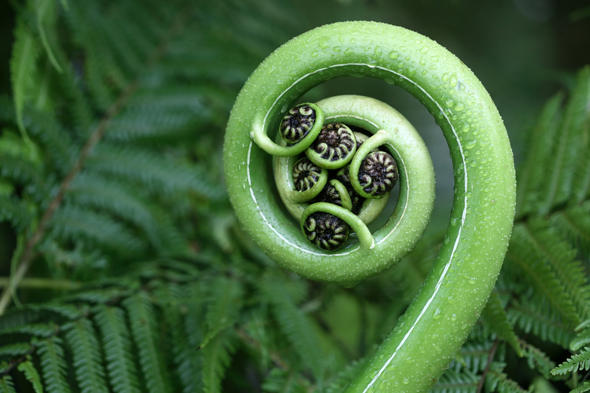 Workshop in Nature: Jump start your future project