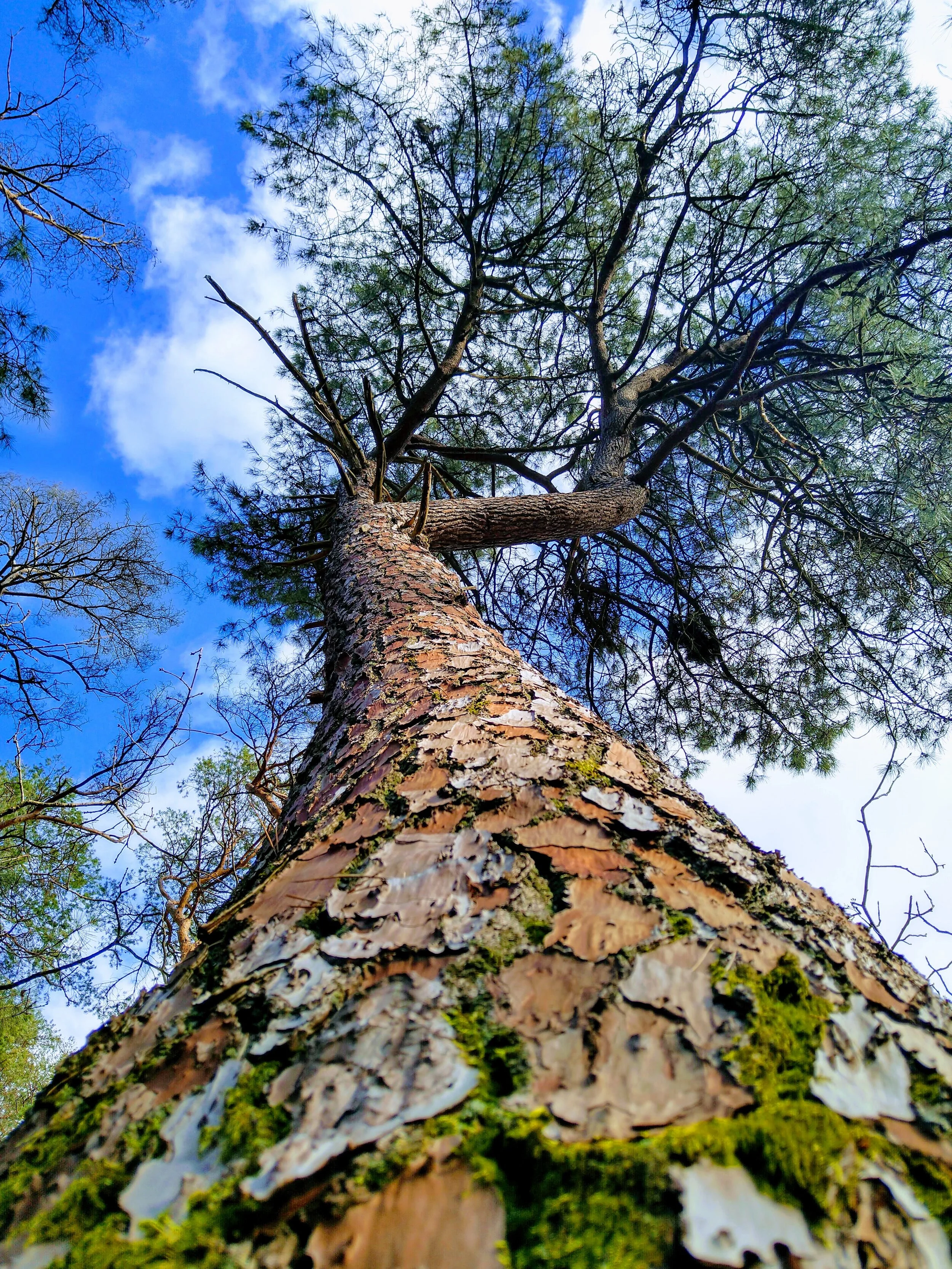 Workshop: Rediscovering self-confidence with Nature's help