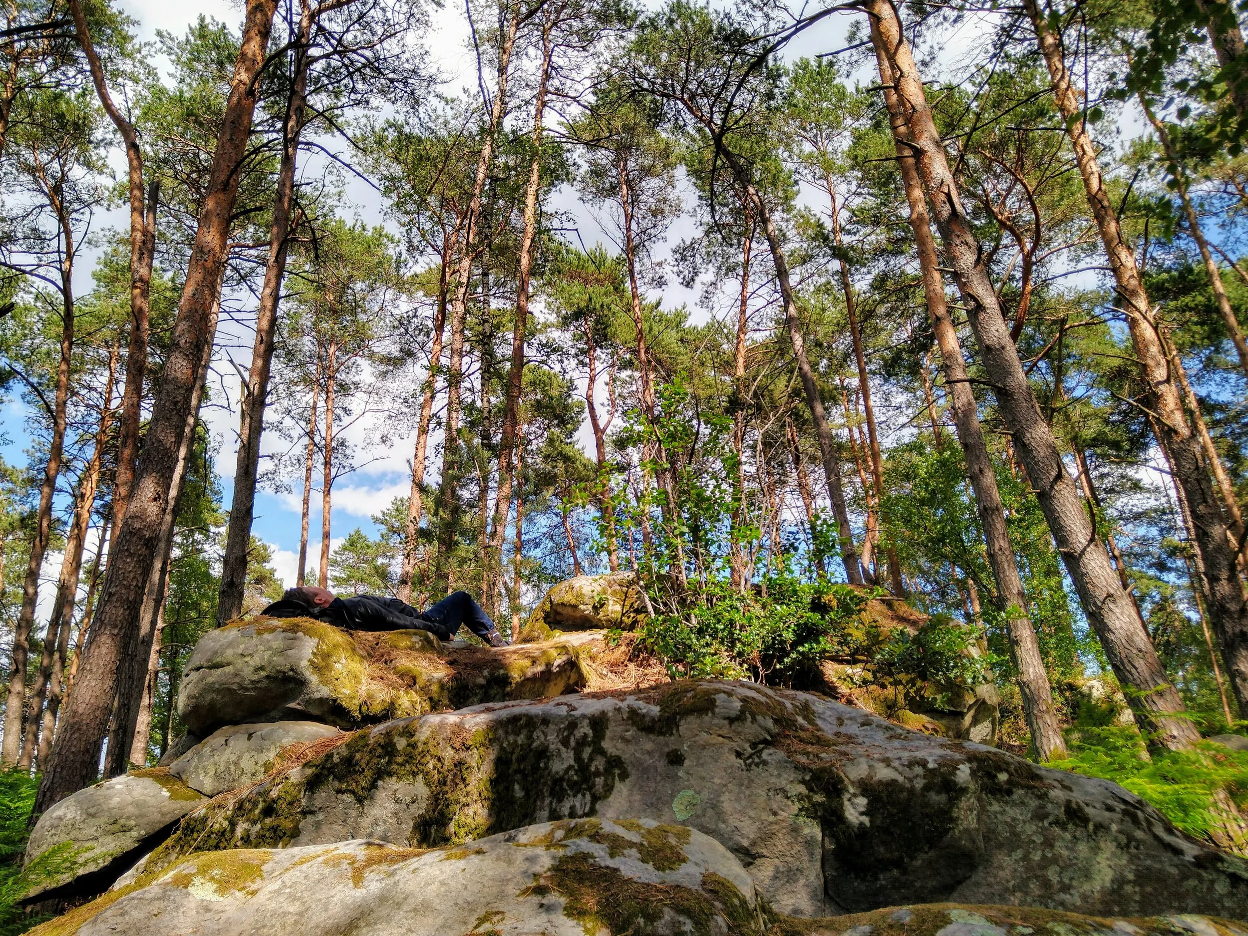 Workshop in Nature: Happier and healthier by eliminating stress