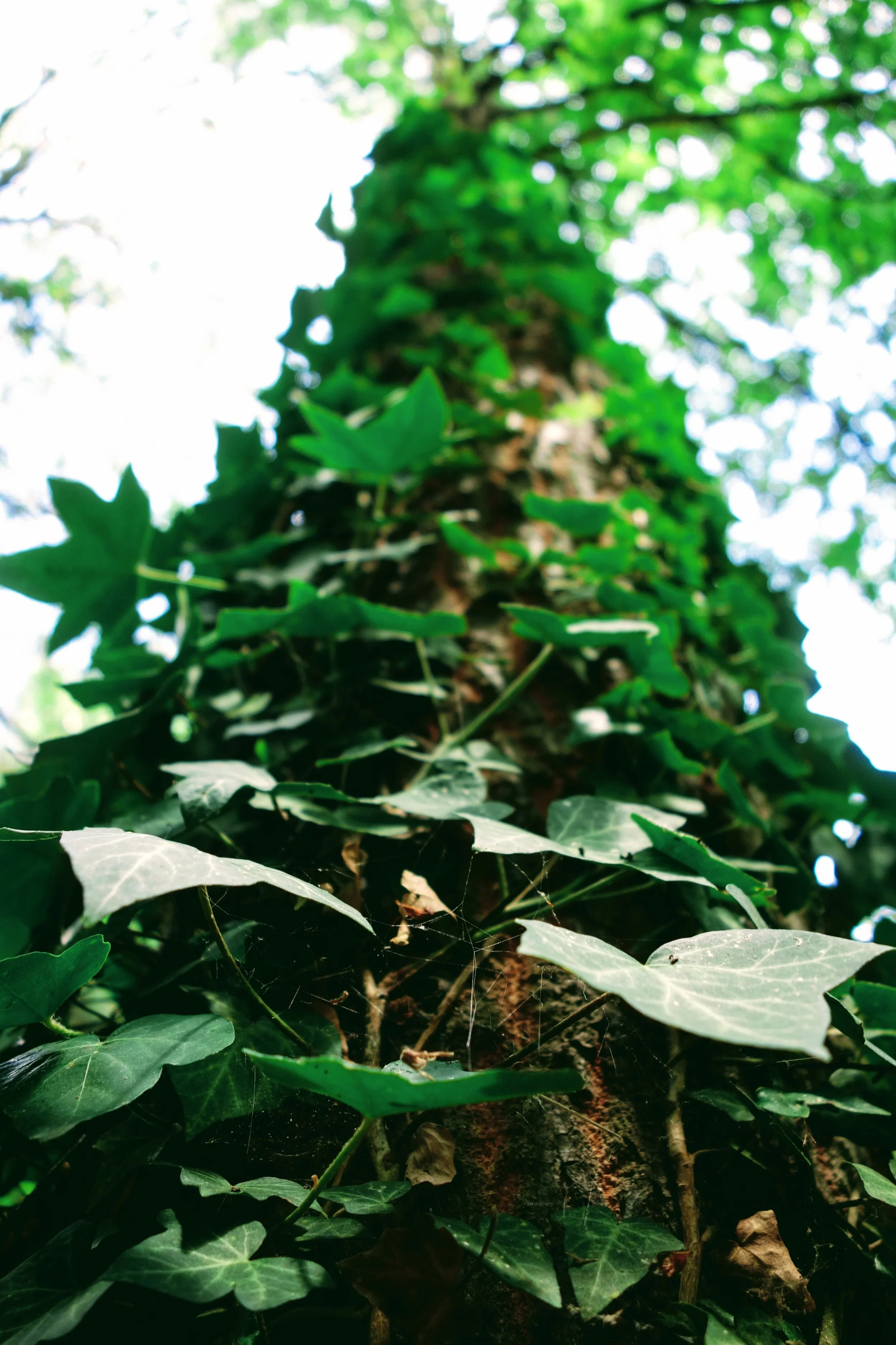 Nature Workshop: New beginnings for 2020