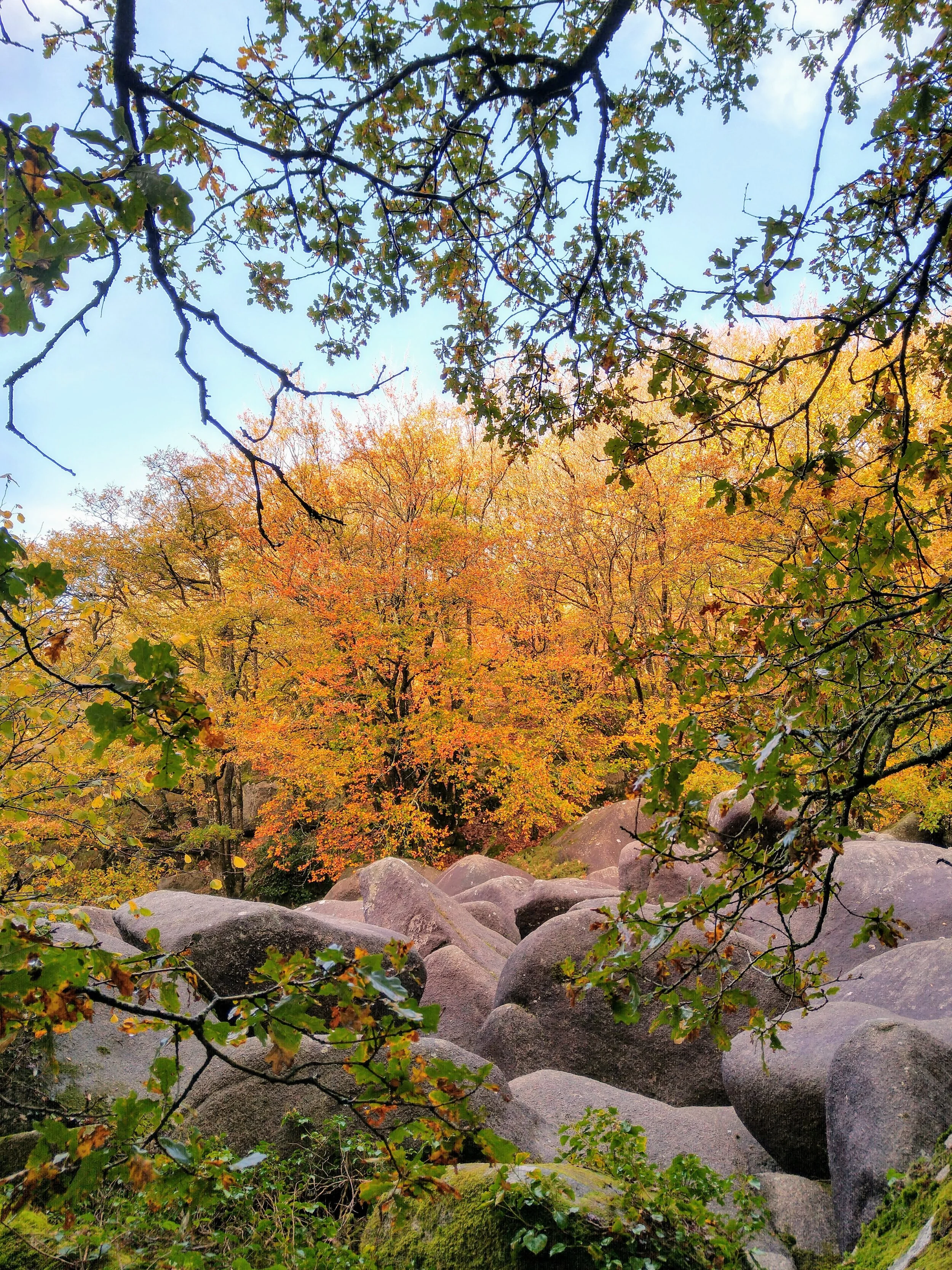 IMG_20201025_095107990_HDR.jpg