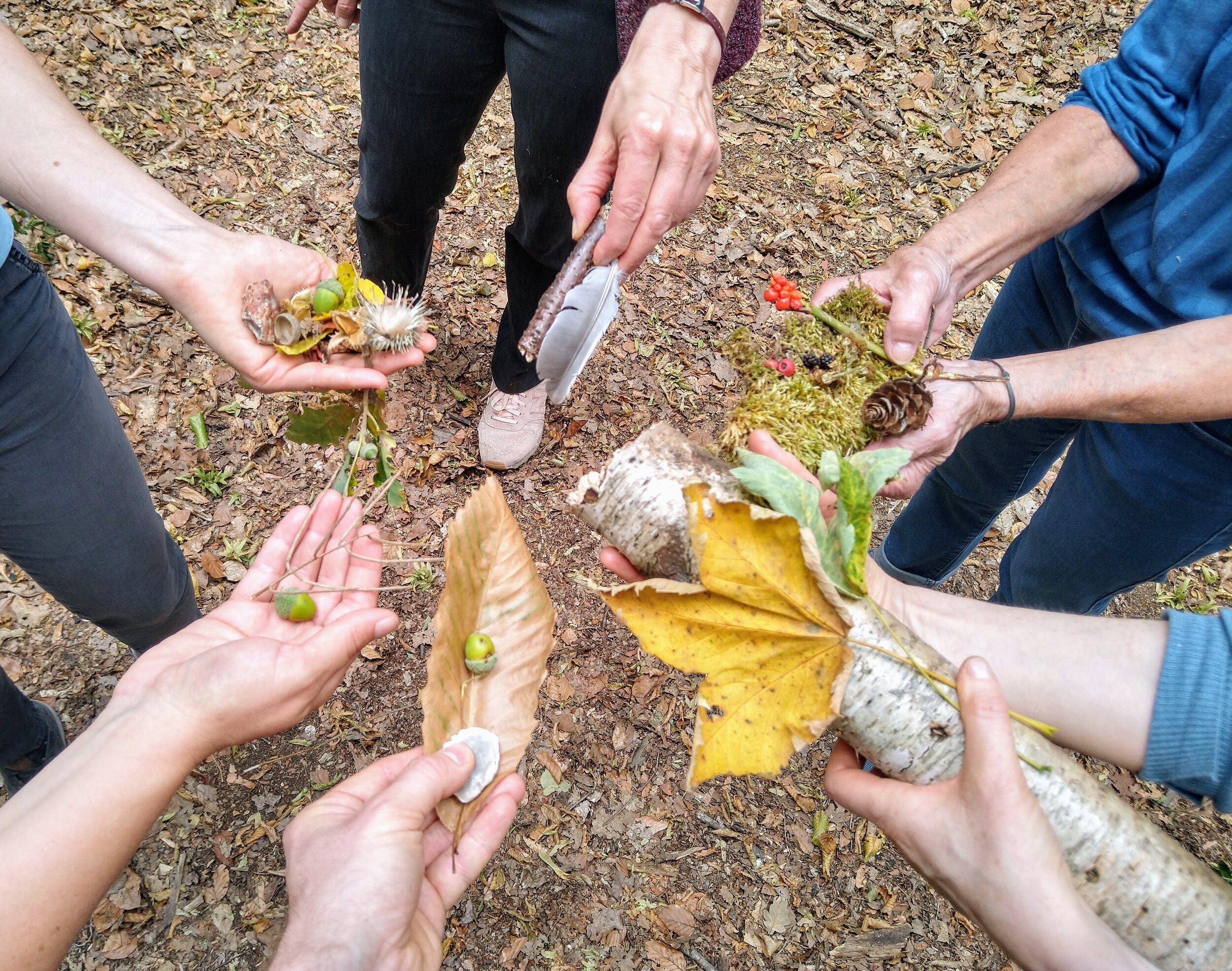 Bois de Boulogne sharing nature's elements.jpg