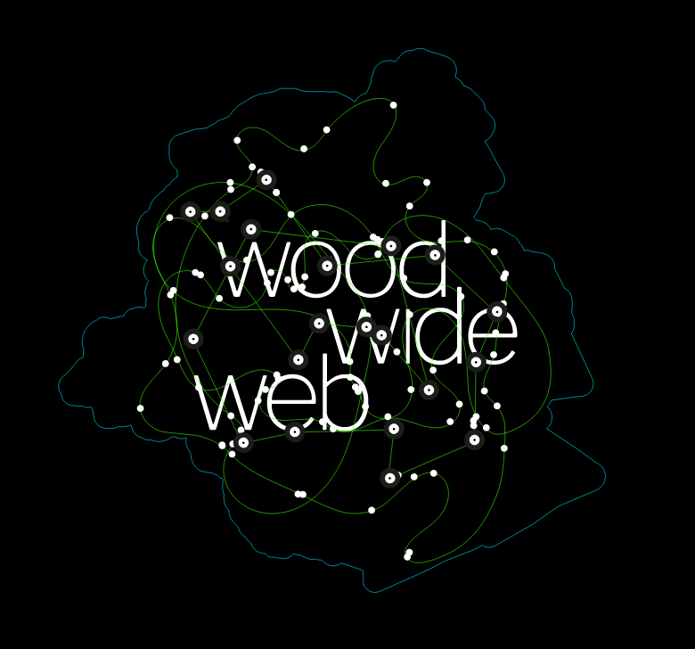 Interview avec Priscille Cazin sur la plateforme le Wood Wide Web
