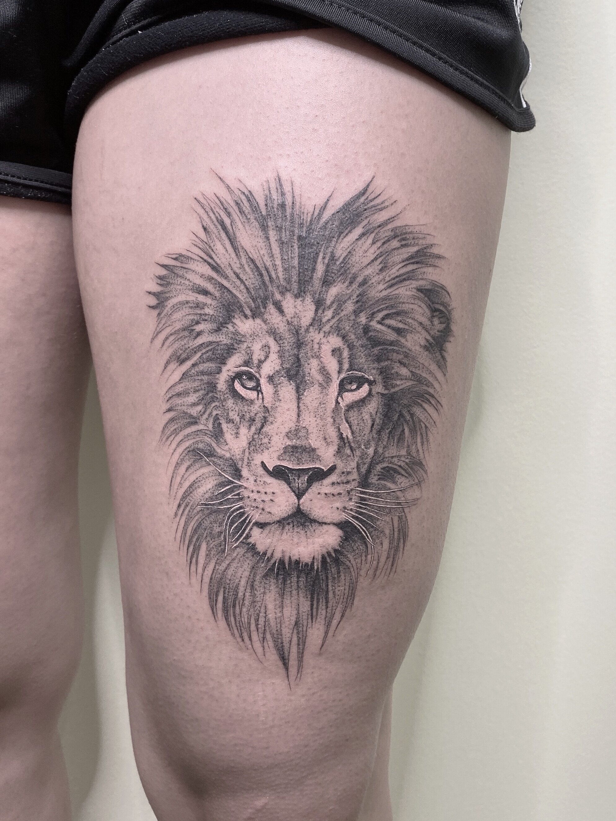 Lion