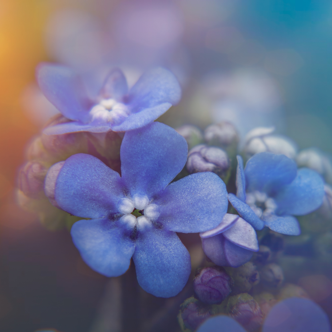 Visitation (George Haun)