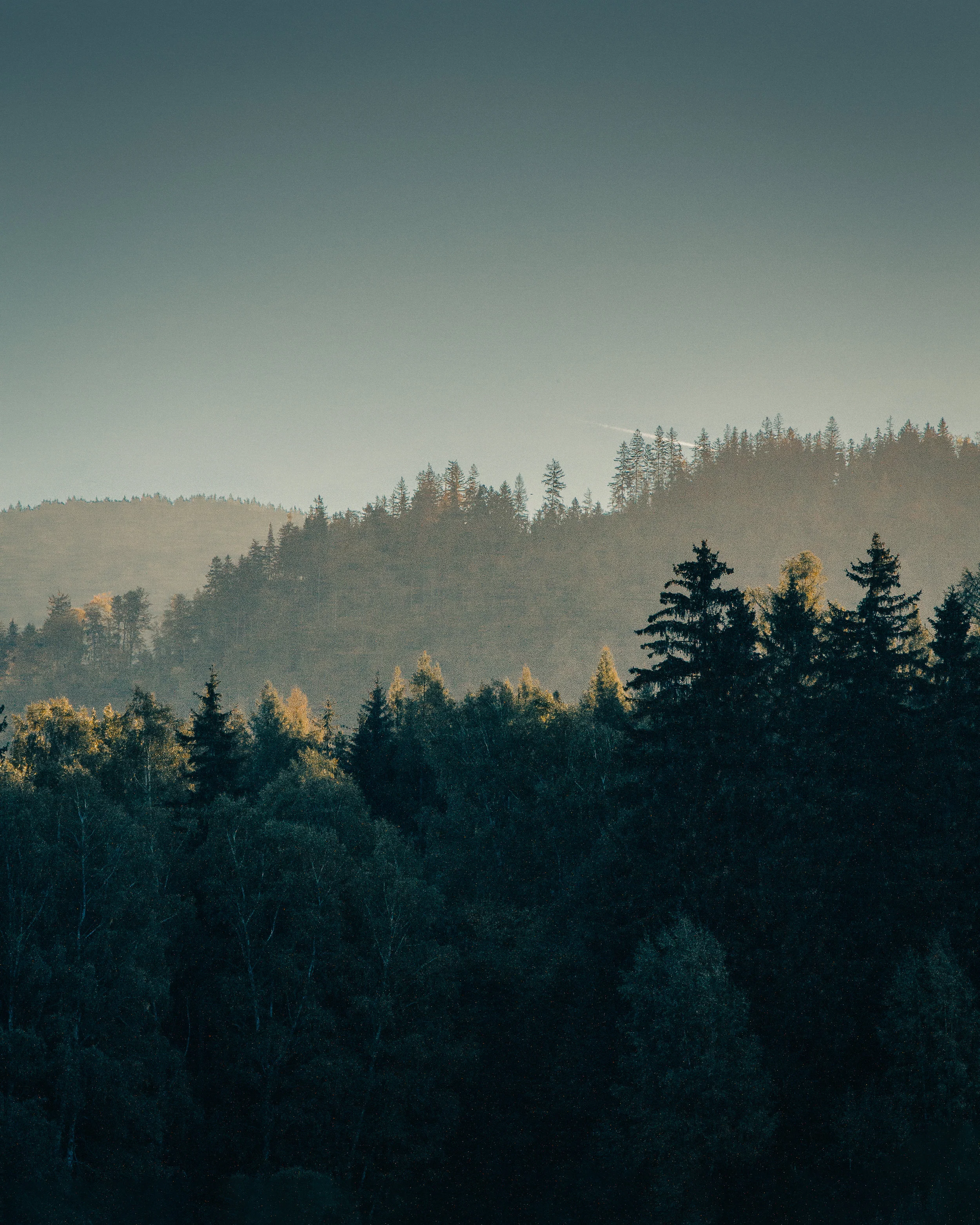 The Nature of God
