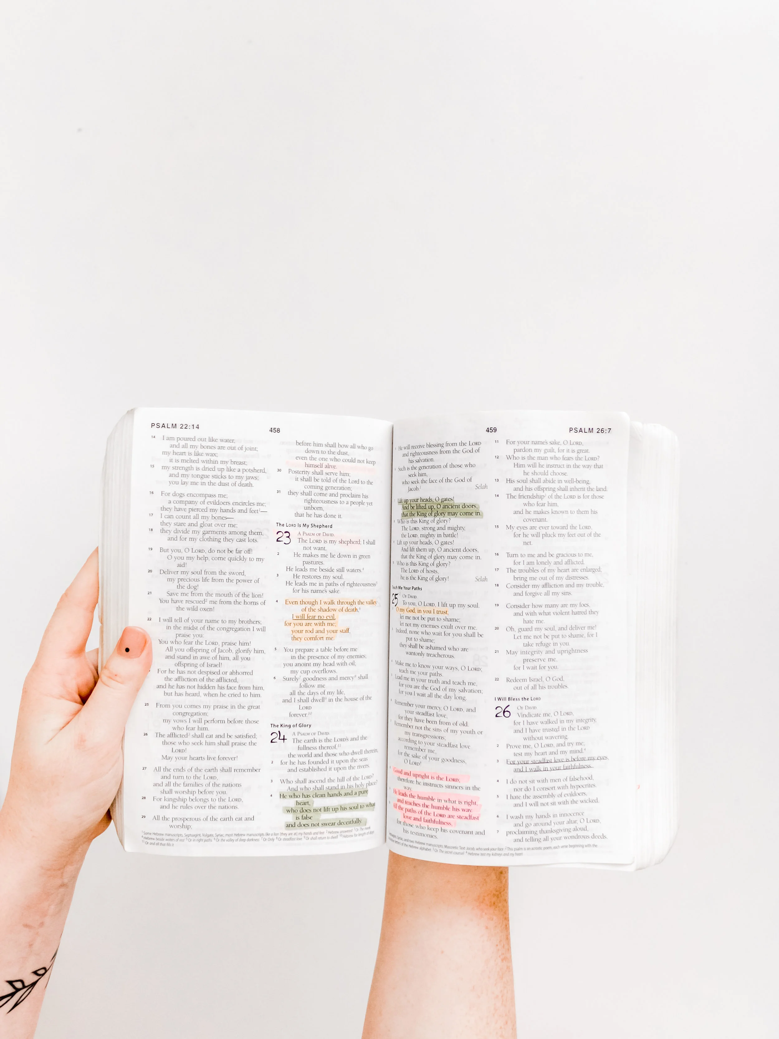 Questions About the Bible