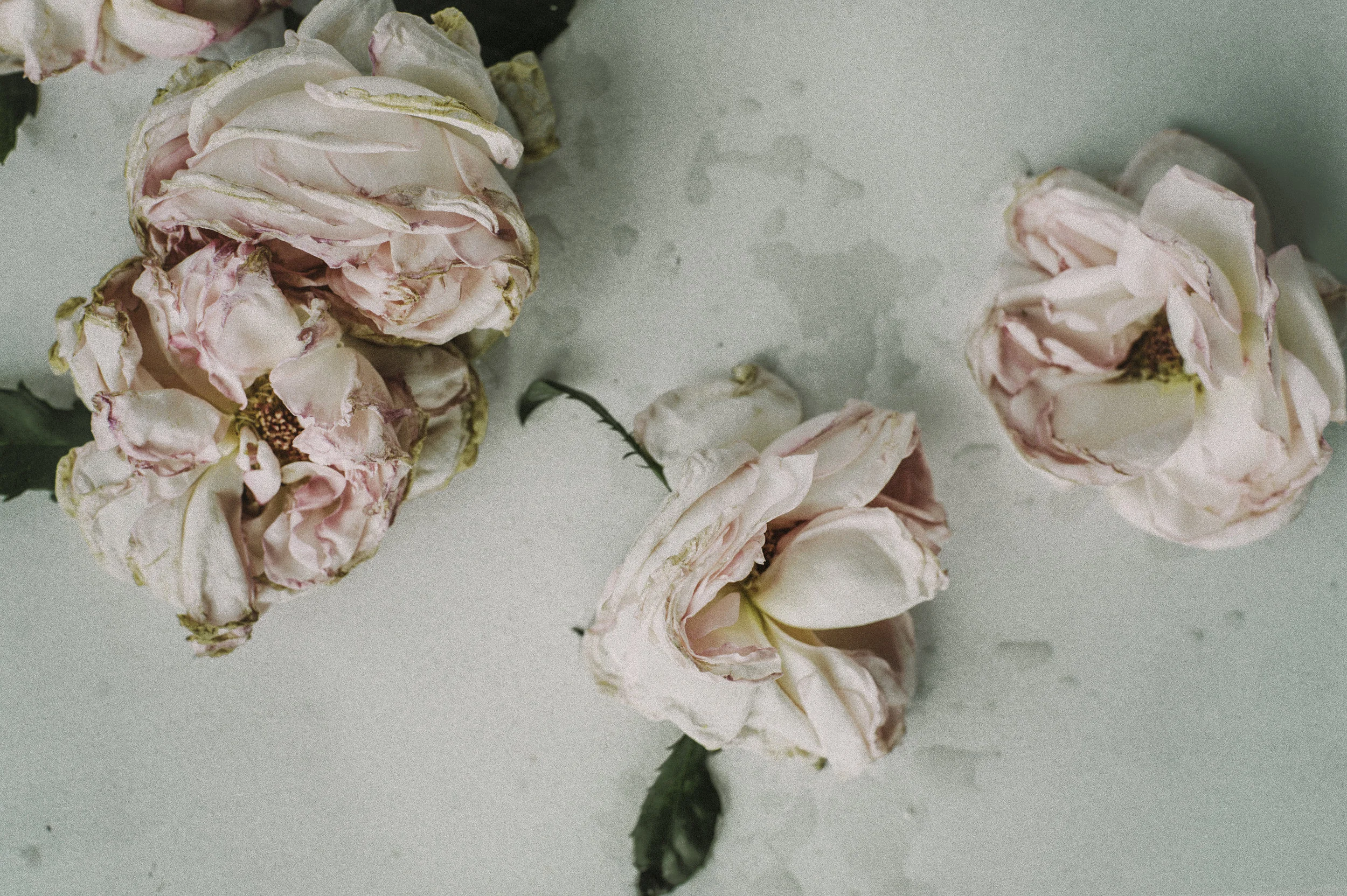 Dying Well