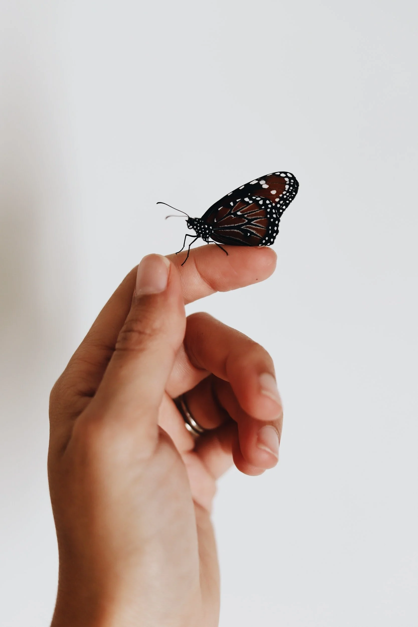 You Cannot Be Separated from the Love of God