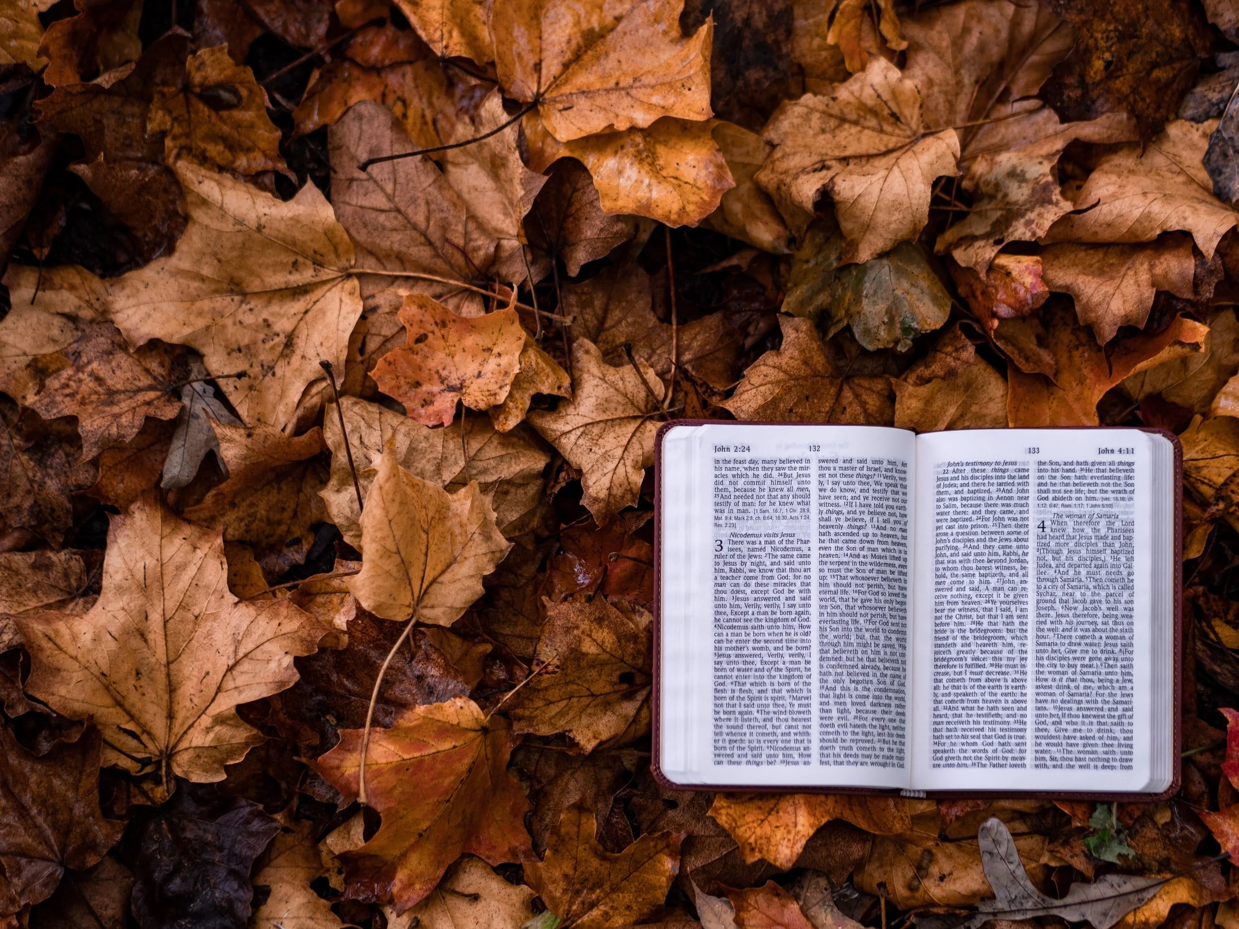 The Cause for Significance
