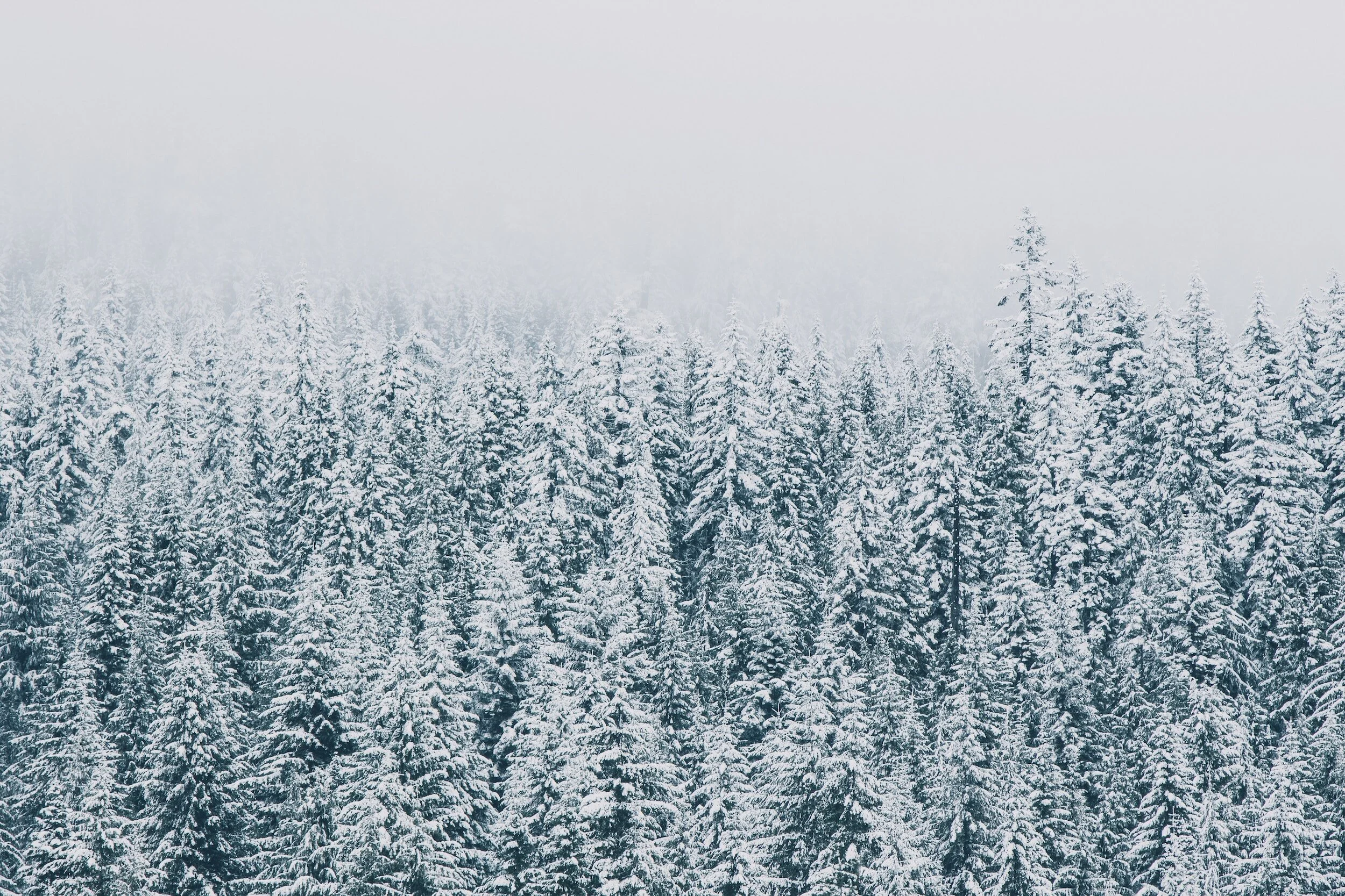 What is Advent? (Part 1)