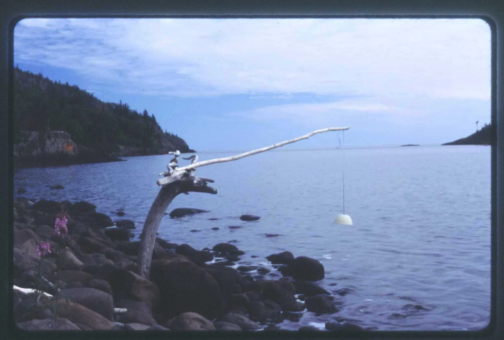 Fishing for Tupperware
