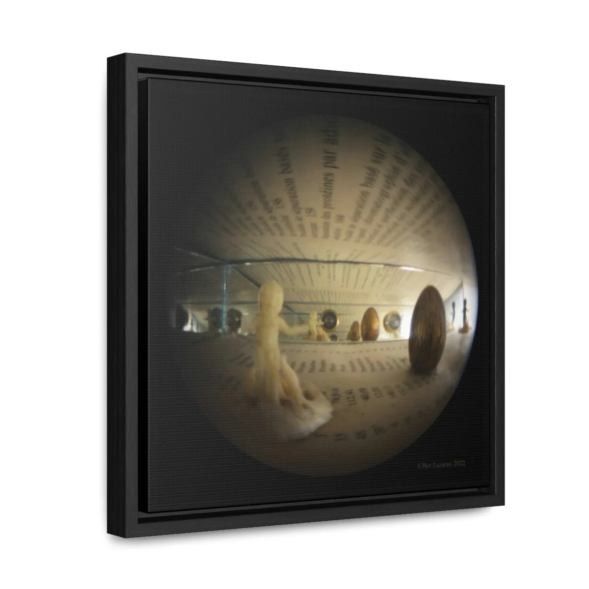 9cfb67e2c33669de57ef8a3fe316d2d6