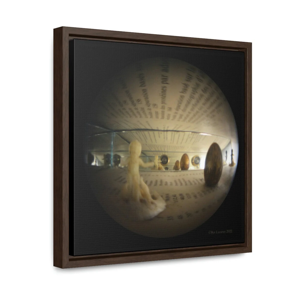 ecd8dfcf02fca988b862726707492279