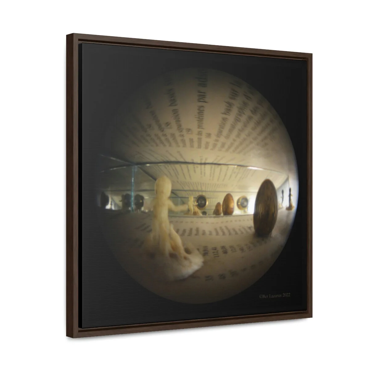 0747bb005c429f3edada305ce4567a00