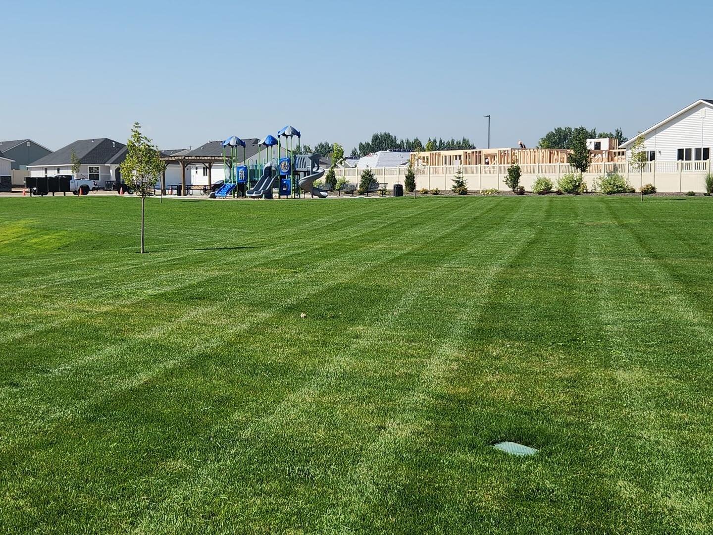 Rain will actually spreed the process of turf growth and weed control. After rain, weeds and grass have an accelerated growth rate. This helps weeds to absorb the weed control and expedites the dying process. It also helps turf to absorb fertilizer a