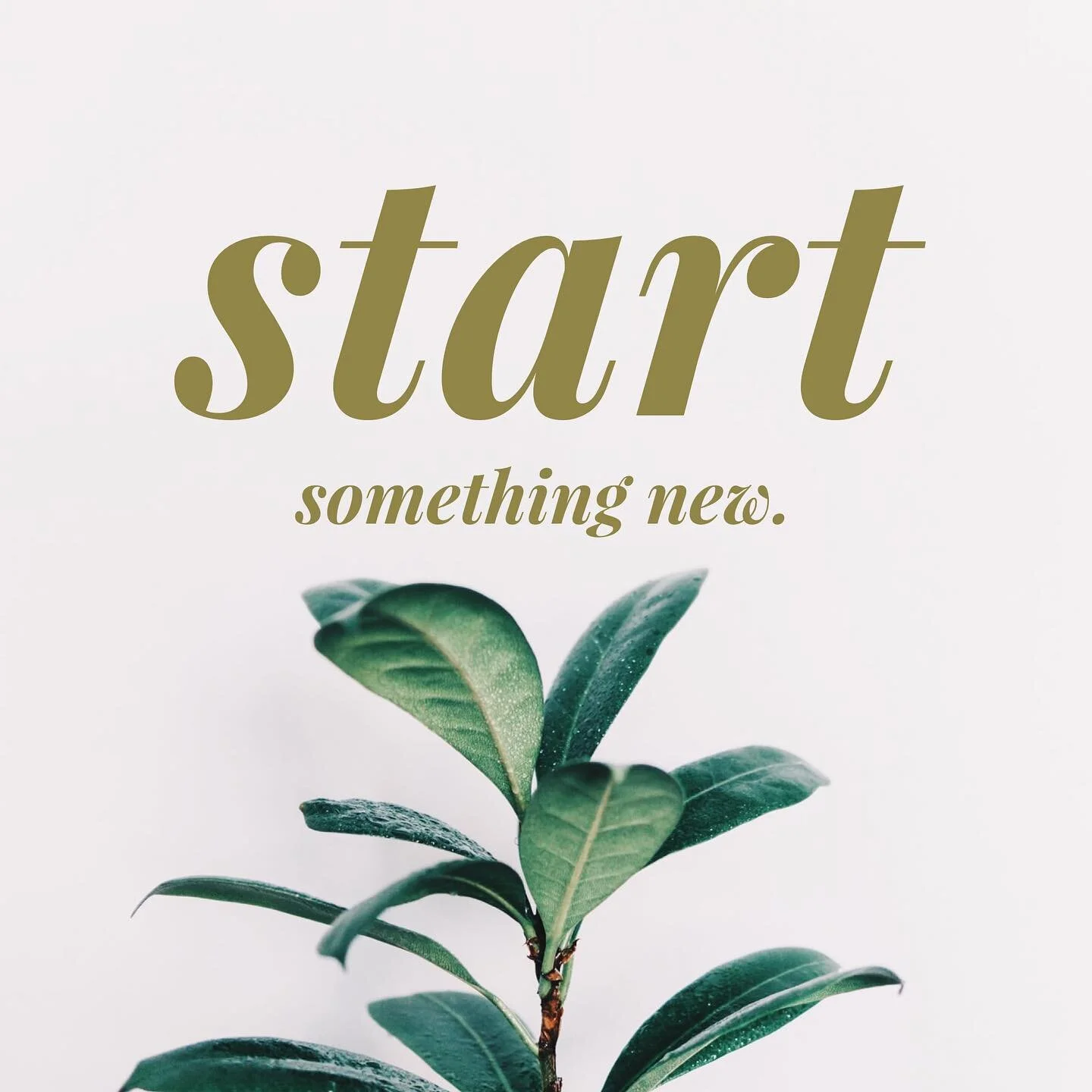 Have you been thinking about starting that business, getting that website updated, or finally writing that book? Well, maybe now&rsquo;s the time!
.
.
I&rsquo;m booking clients for FALL and would love to chat about what your &ldquo;something new&rdqu