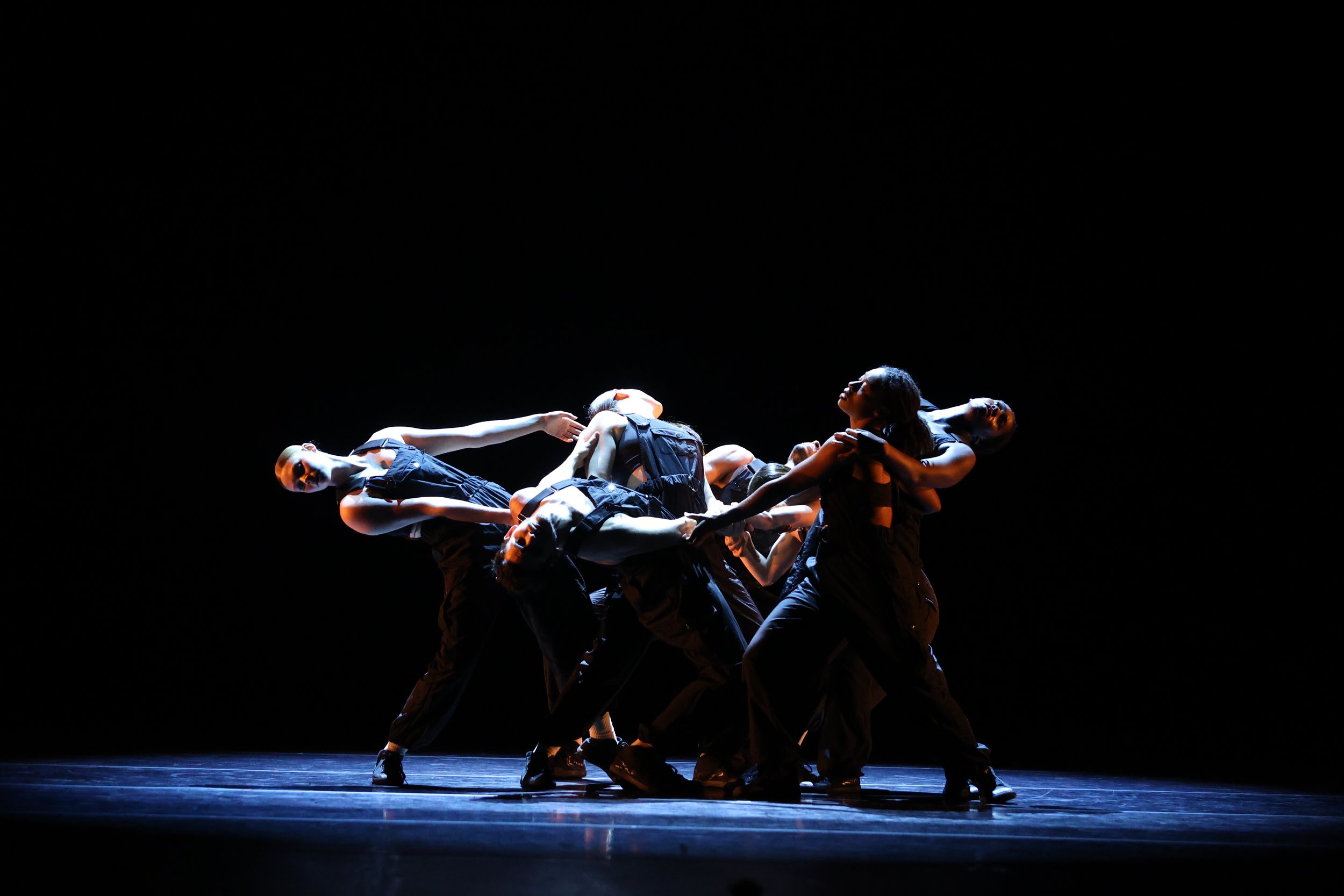 HCDC Heads to St. Louis!