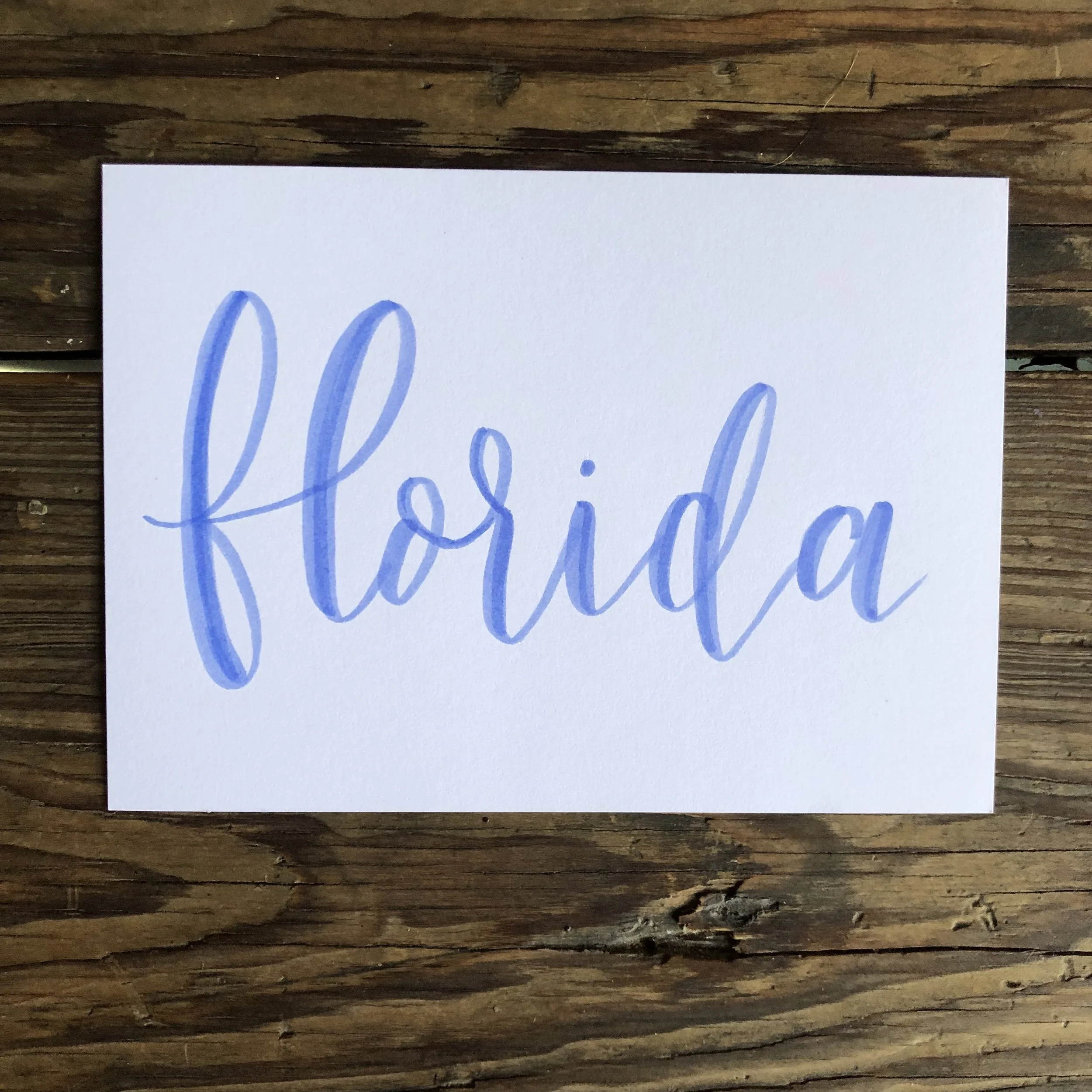 state-florida.jpg