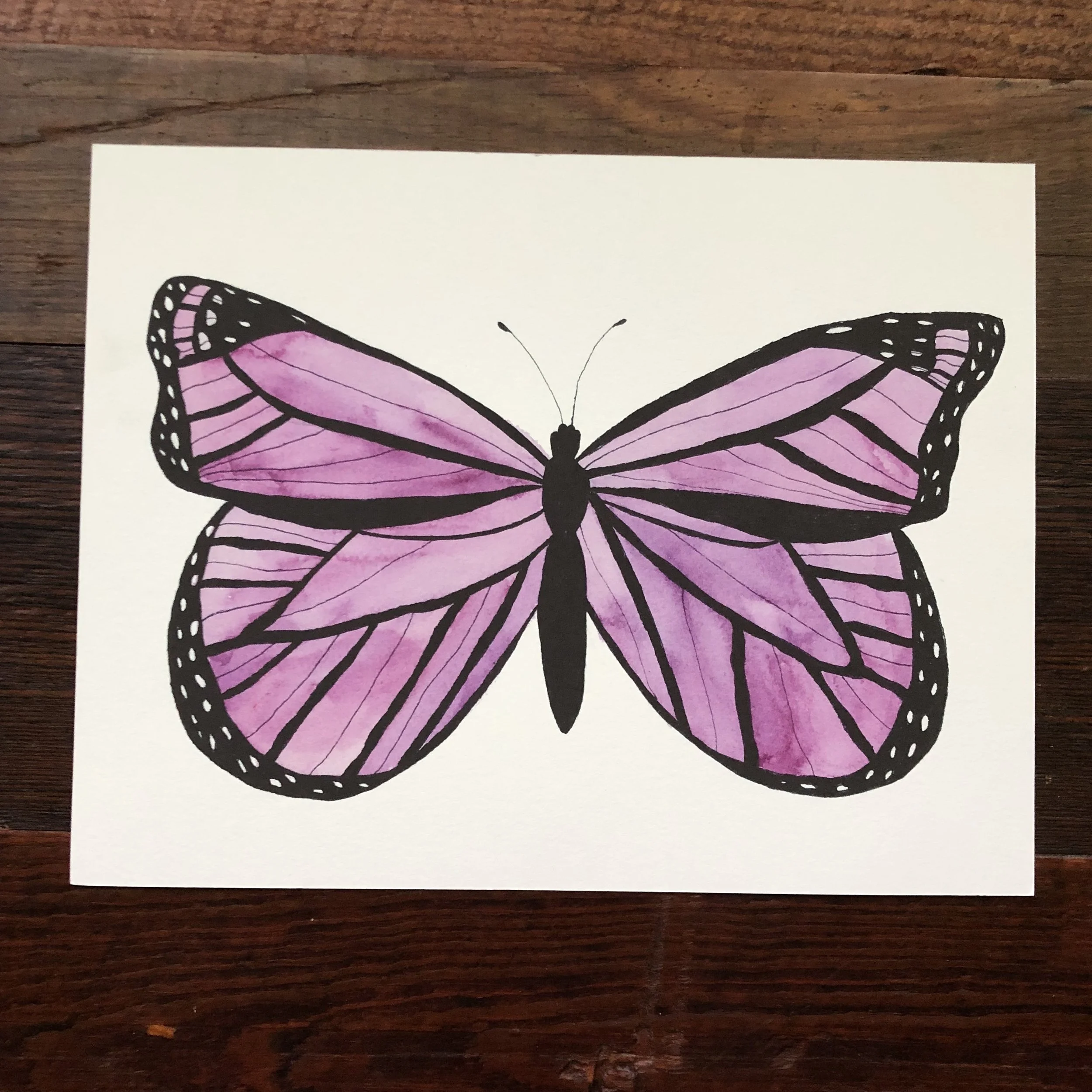 butterfly pink