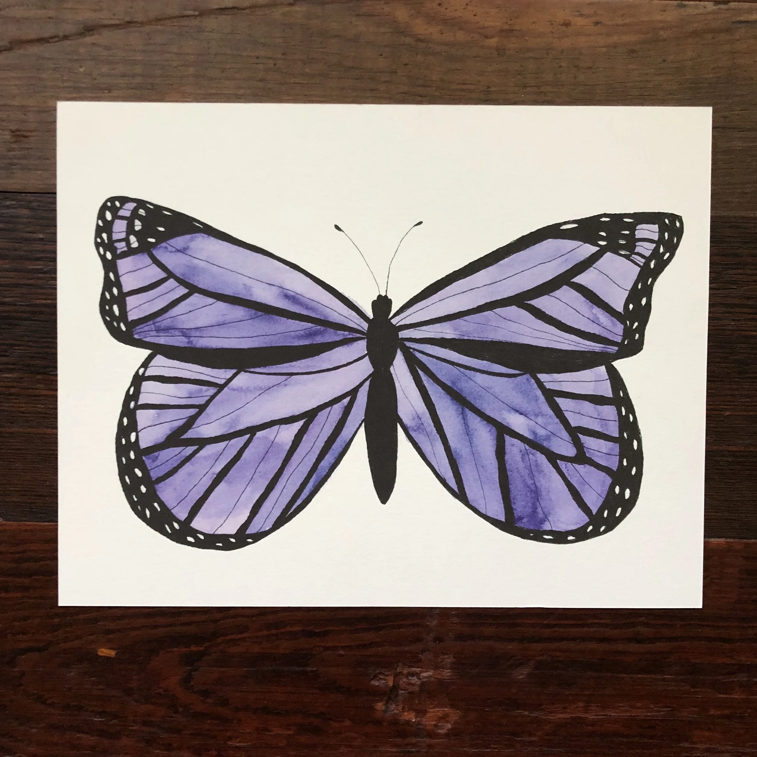 butterfly purple