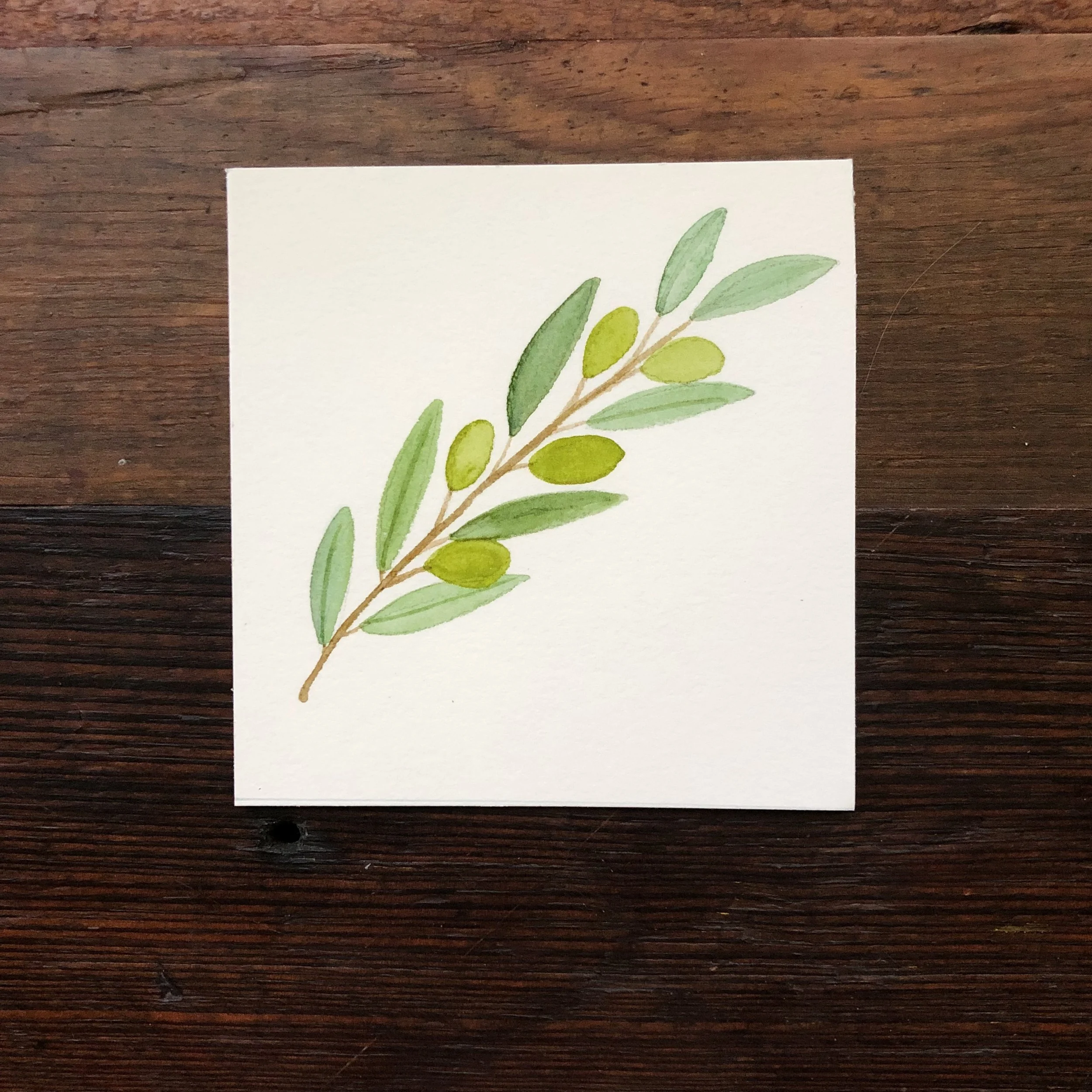 OLIVE BRANCH