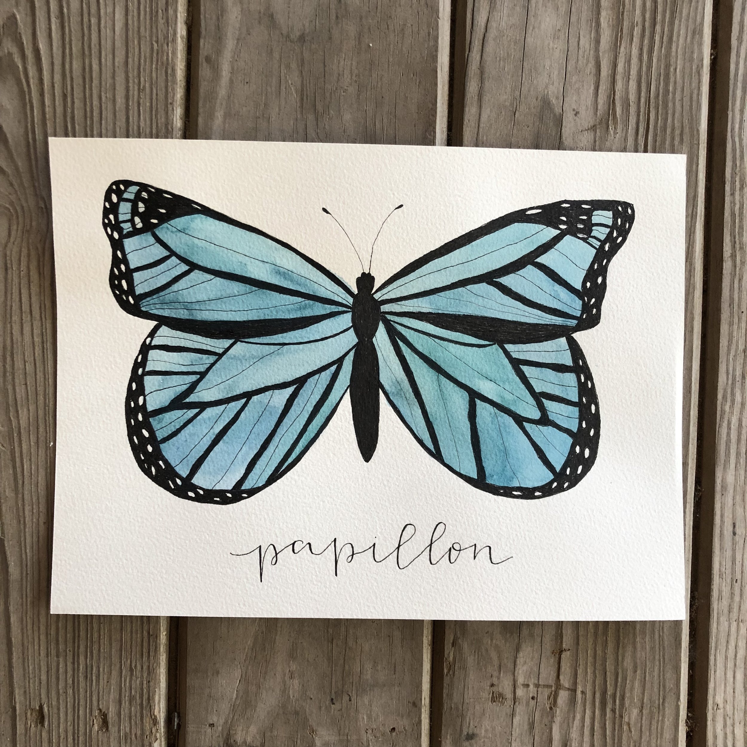 papillon . butterfly