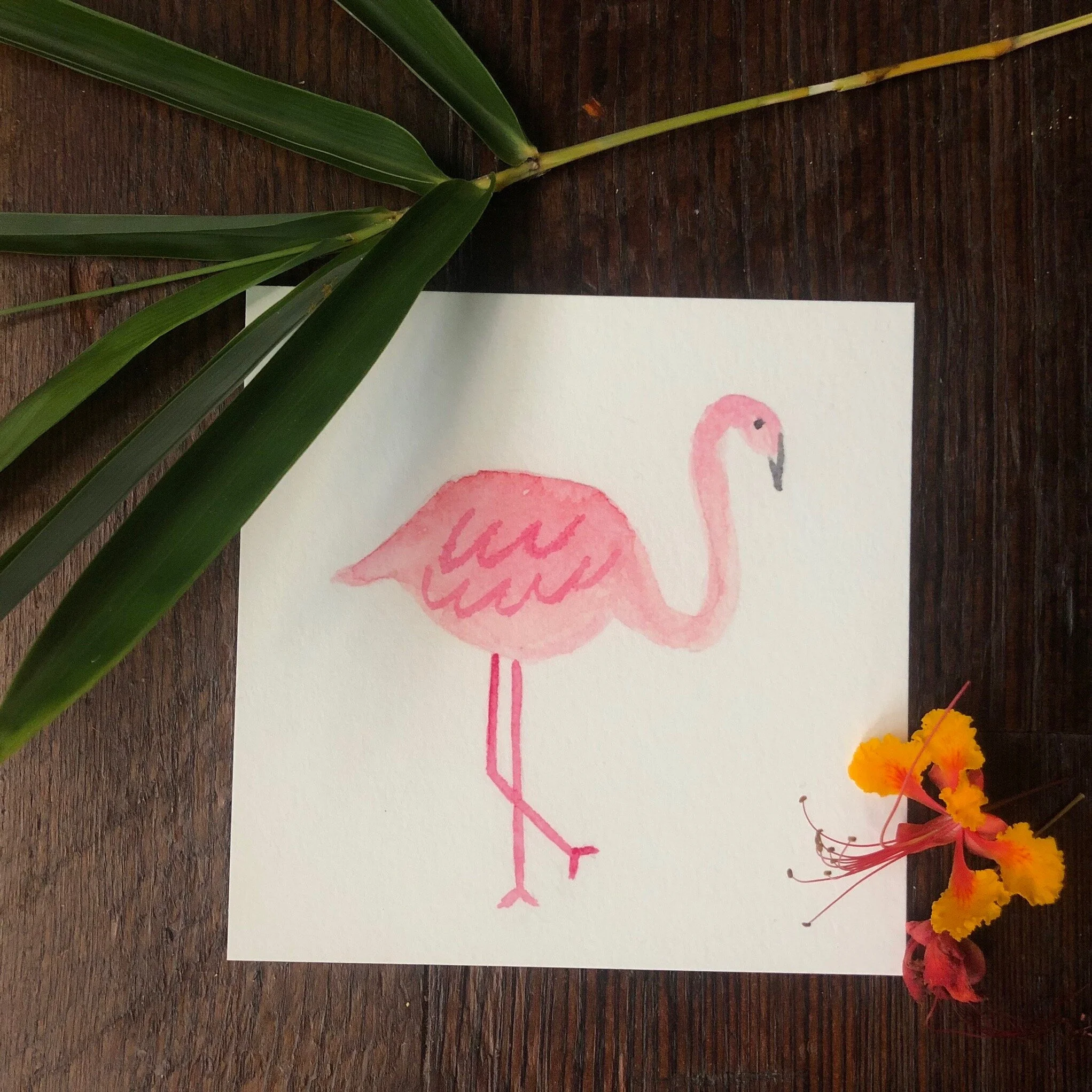 FLAMINGO
