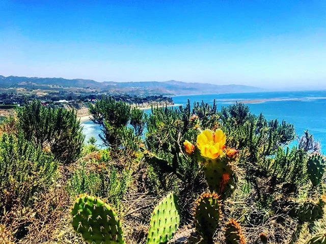 Malibu🌵 (📷: @lauren820)