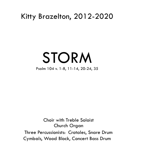 Storm: Performance Version